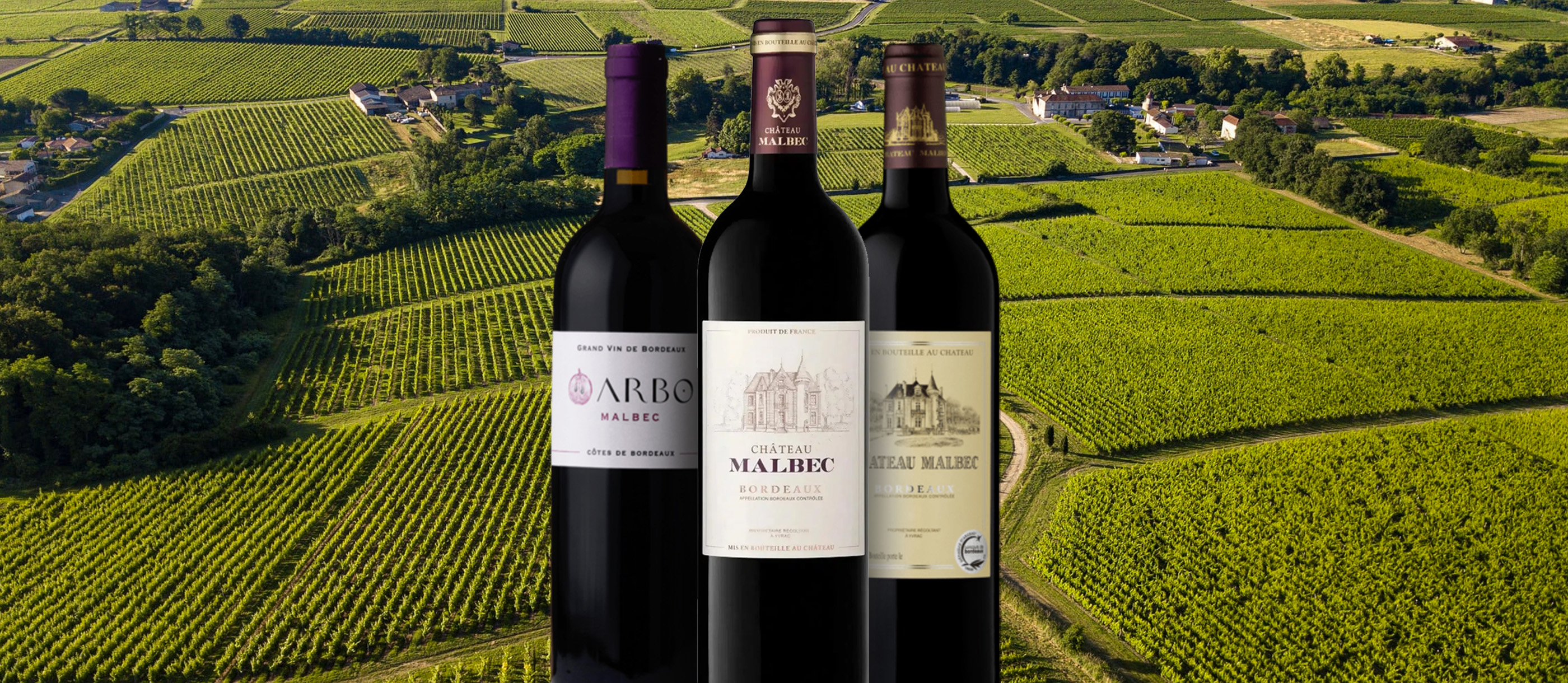 French Red Wines 114 Red Wine Types In France TasteAtlas French Red Wines 114 Red Wine Types In France TasteAtlas