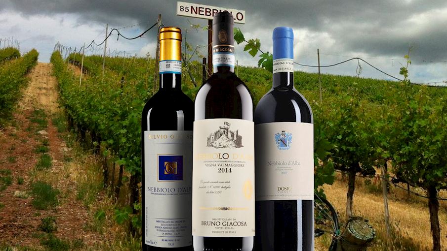 50 Most Popular Italian Red Wines Tasteatlas 