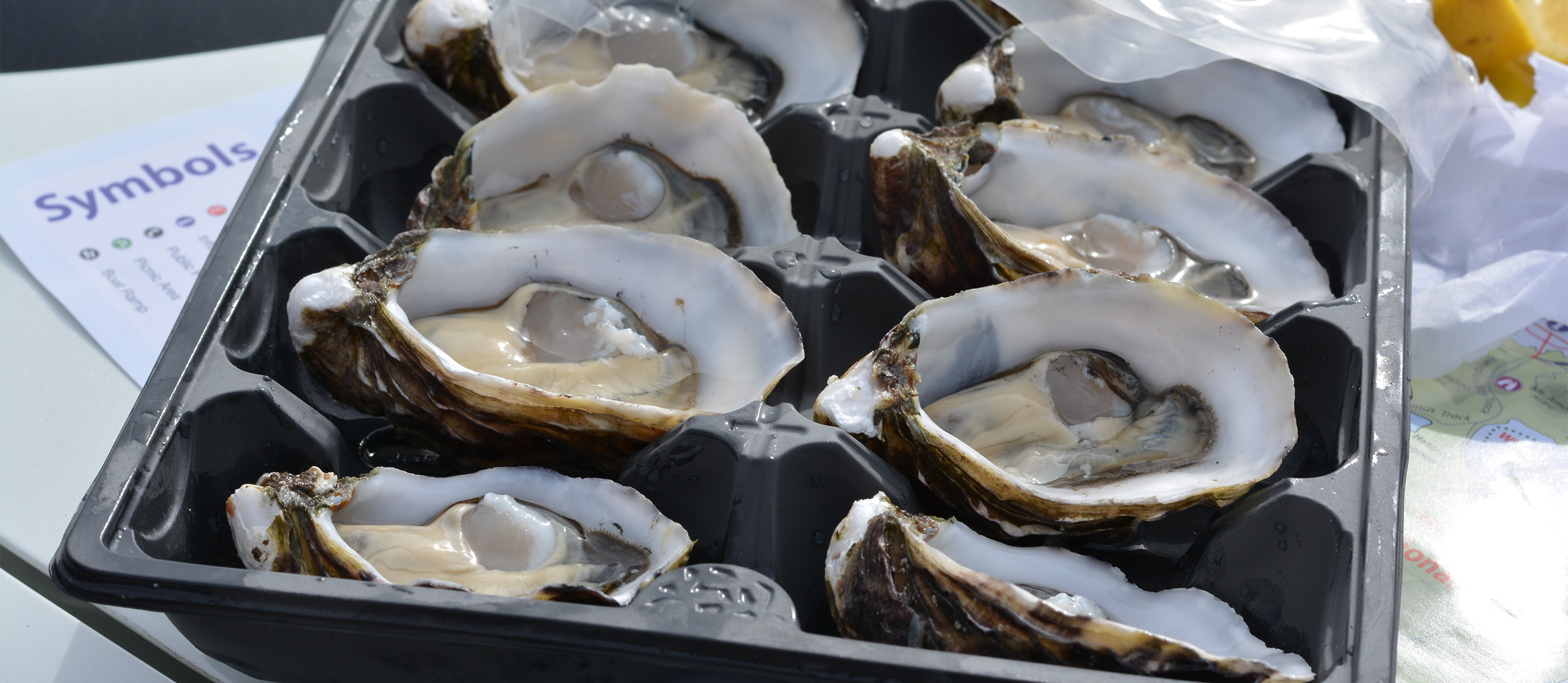 Tasmanian Oysters Local Oysters From Tasmania, Australia Tasmanian Oysters Local Oysters From Tasmania, Australia