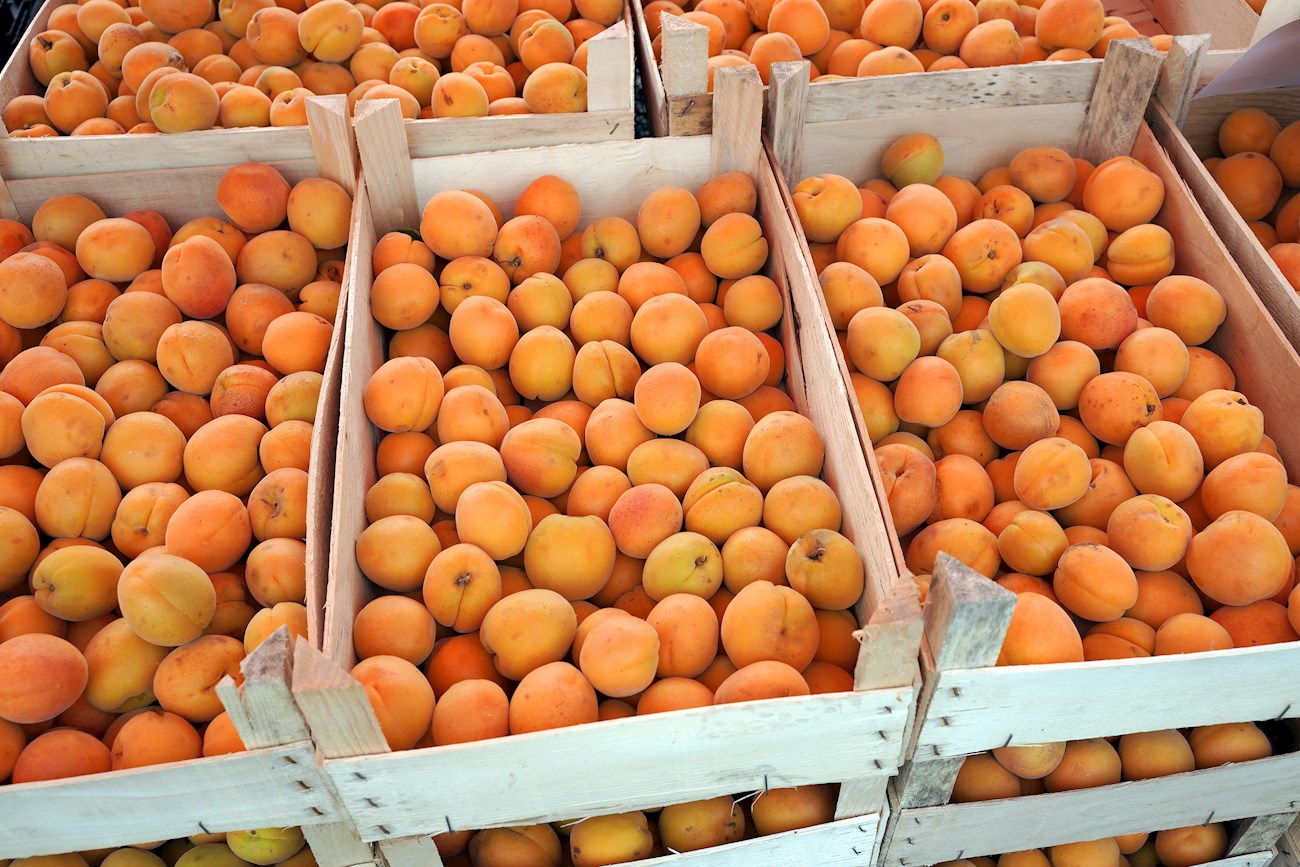 5 Best Apricots in Western Europe - TasteAtlas