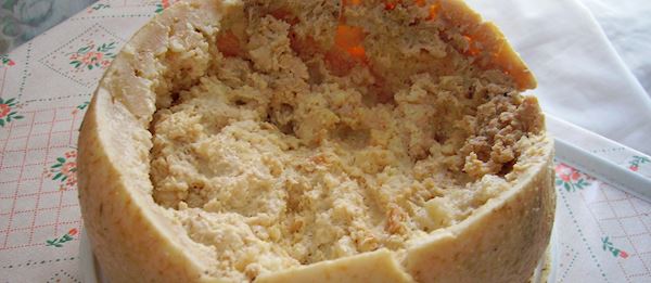 Casu Marzu | Local Cheese From Sardinia, Italy