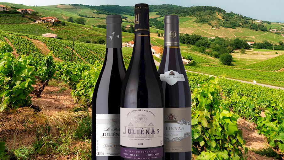 100 Most Popular Red Wines in The World TasteAtlas