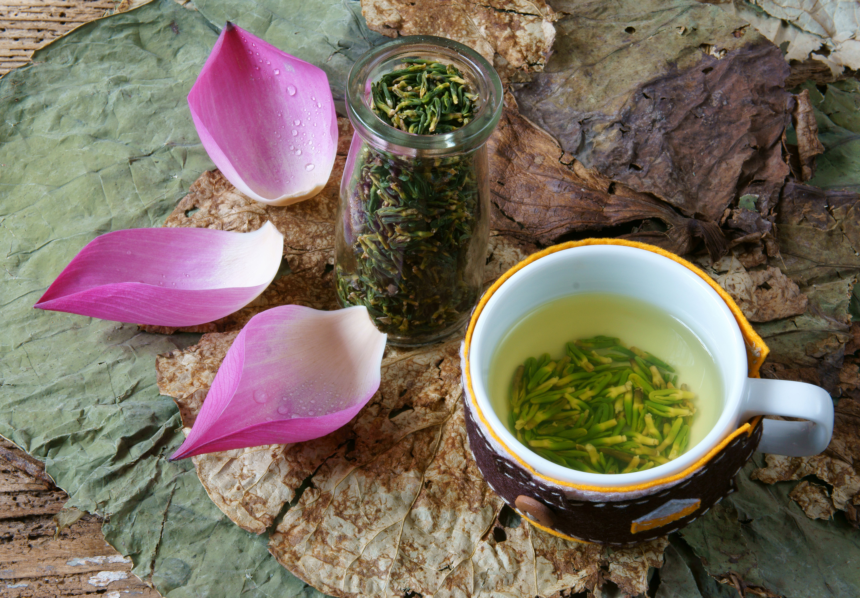What is Lotus Tea? 