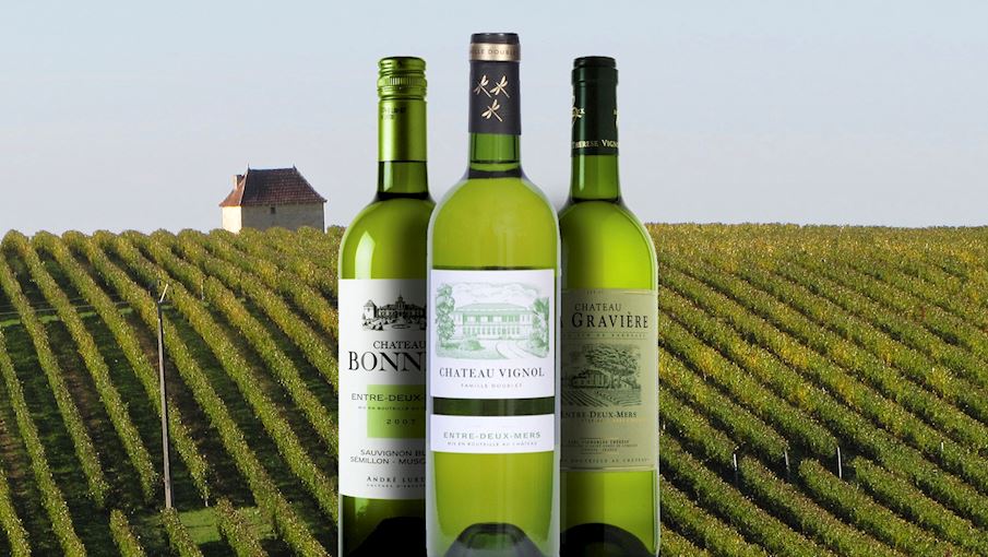 50-most-popular-french-white-wines-tasteatlas