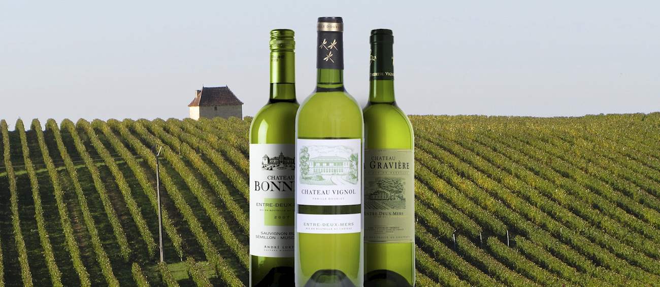 4 Most Popular Local White Wines in Gironde