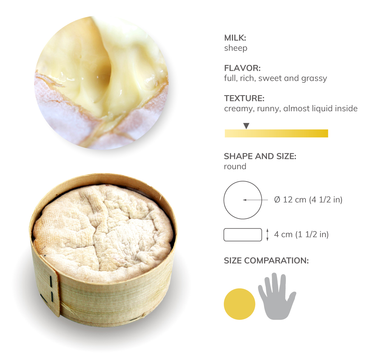 Mont D'Or | Local Cheese From Doubs, France | TasteAtlas
