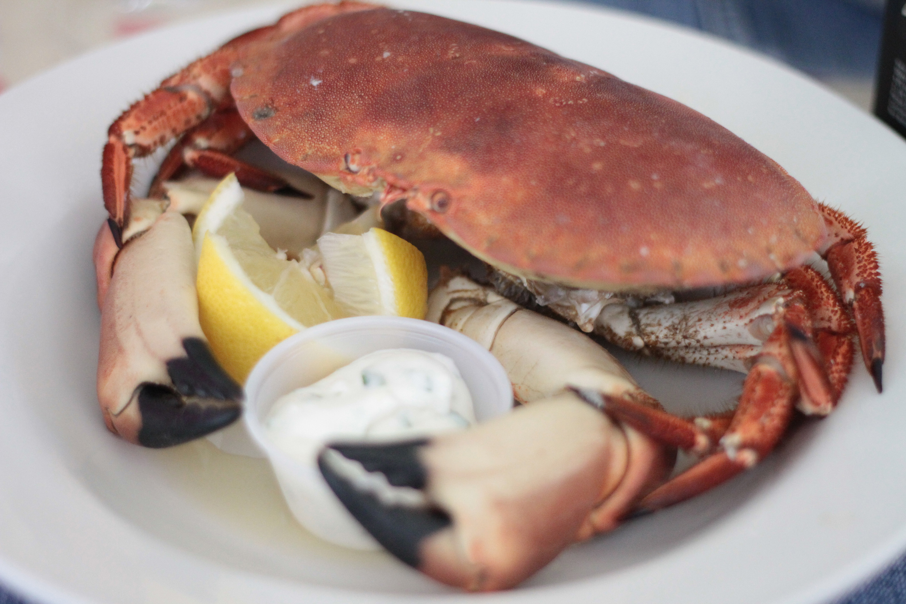 8 Most Popular British Shellfish TasteAtlas