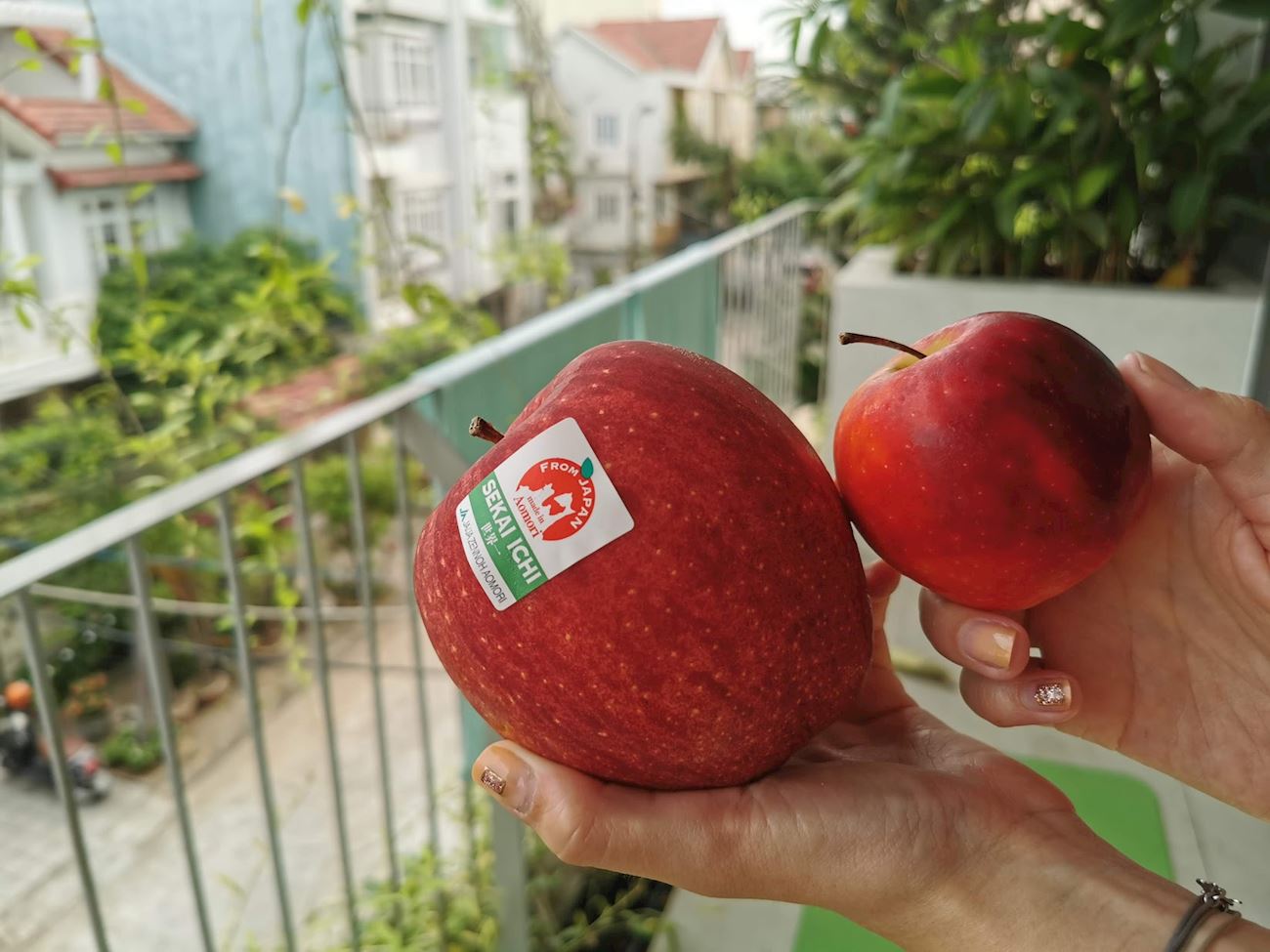 6 Most Popular Japanese Apples