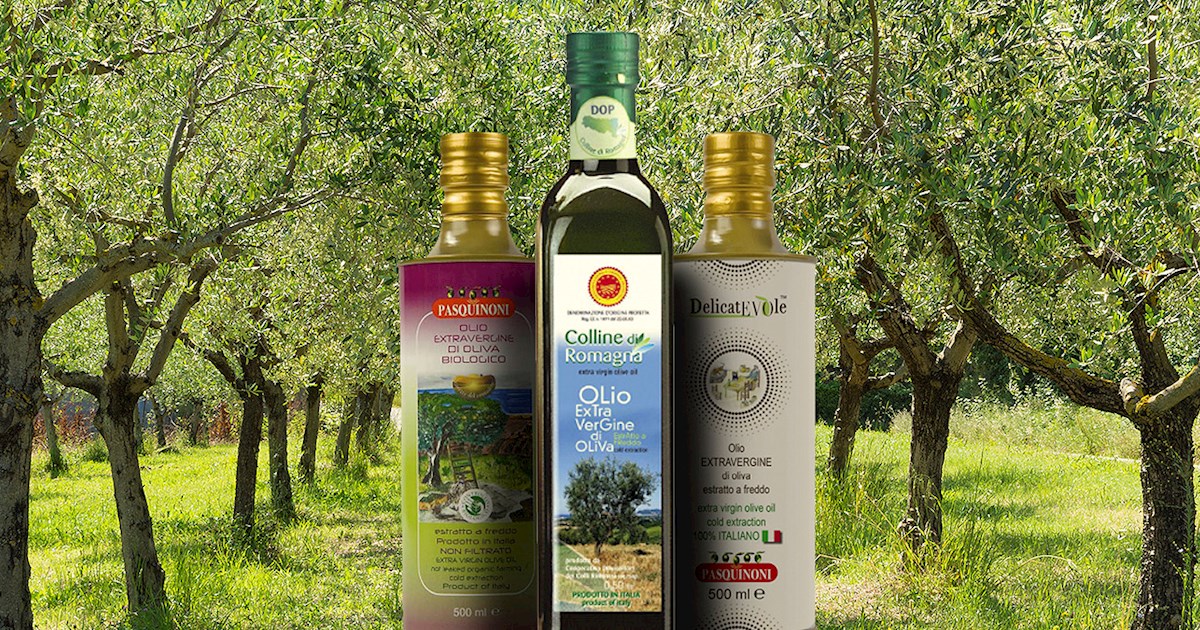 Colline di Romagna | Local Olive Oil From Province of Rimini, Italy
