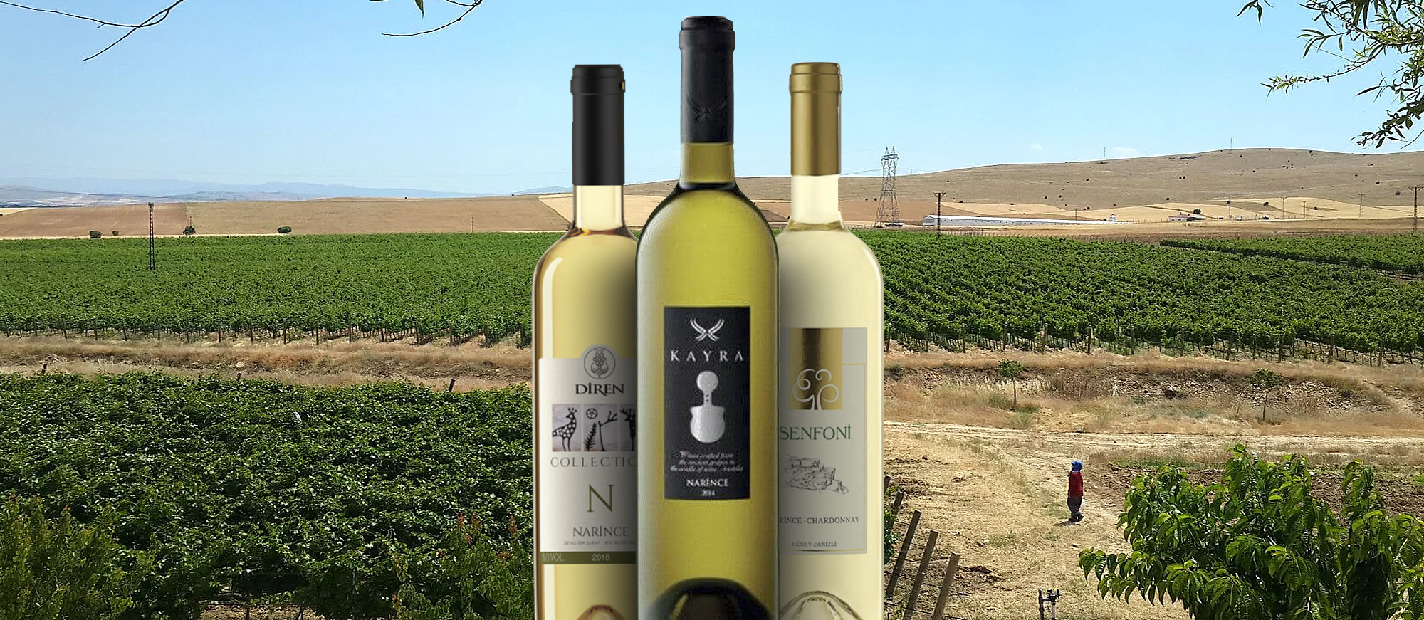 8 Most Popular Turkish Alcoholic Beverages TasteAtlas