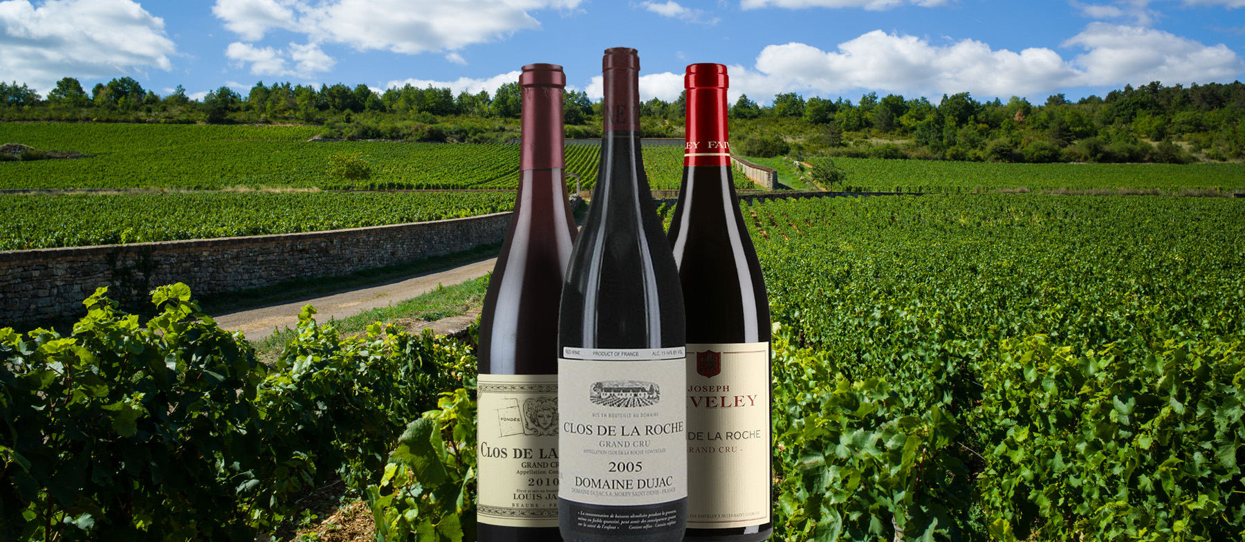 10 Most Popular Burgundian Red Wines - TasteAtlas