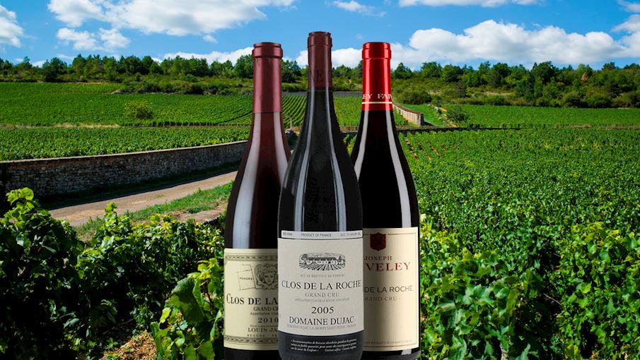 10 Most Popular Burgundian Red Wines TasteAtlas