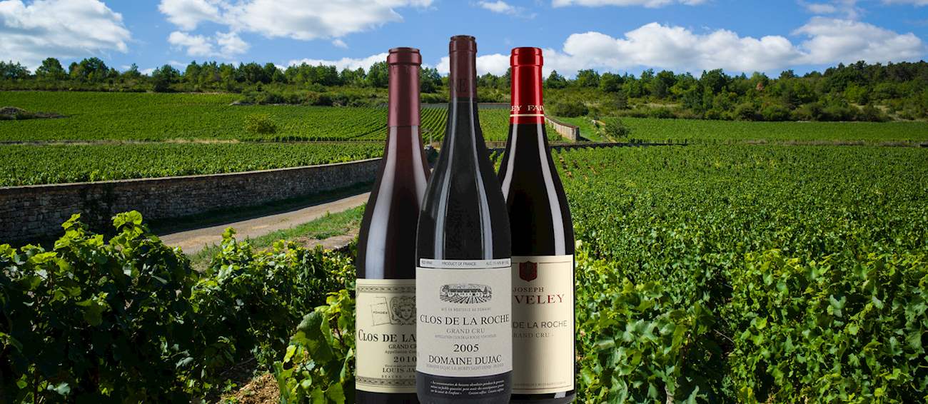 Clos de la Roche | Local Wine Appellation From Côte-d'Or, France