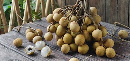 Longan