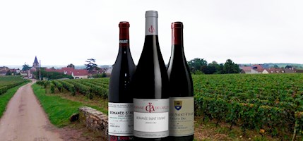 Romanée-Saint-Vivant