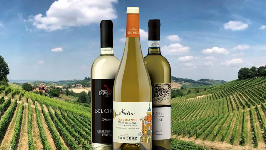 6 Most Popular Piedmontese White Wines TasteAtlas