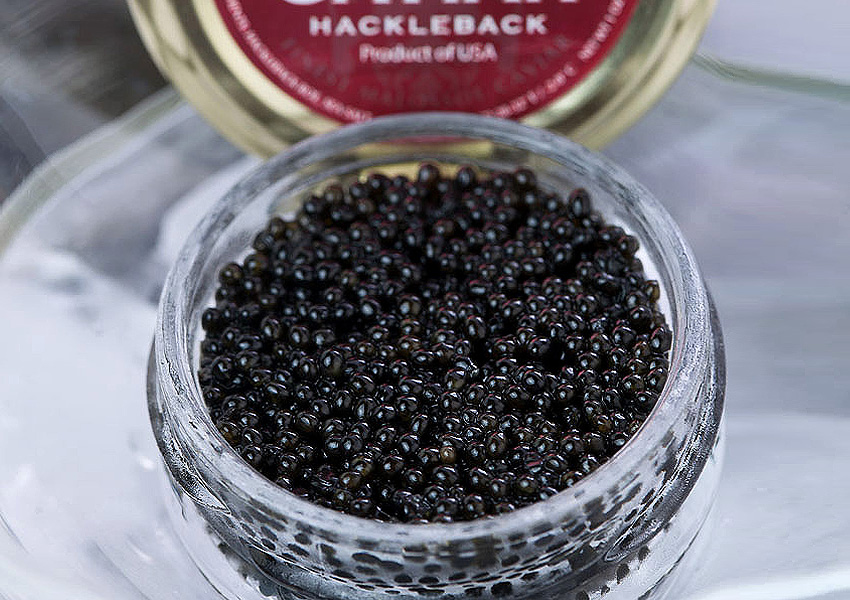 Hackleback Caviar Local Caviar From United States of America