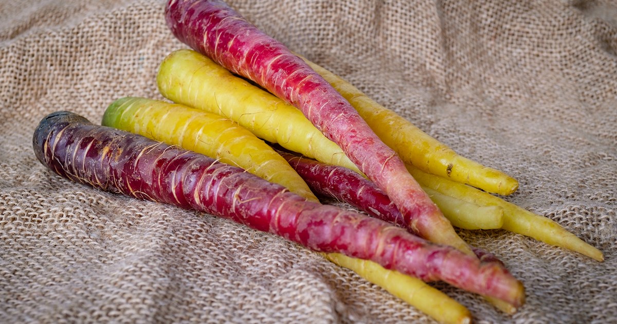6 Best Root Vegetables in Western Europe TasteAtlas