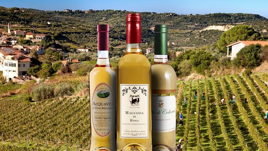 8 Most Popular Sardinian Wines (varieties And Appellations) TasteAtlas