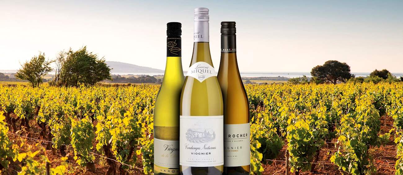 78 Best White Grapes in the World TasteAtlas