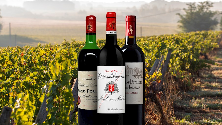 100 Most Popular Red Wines in the World TasteAtlas