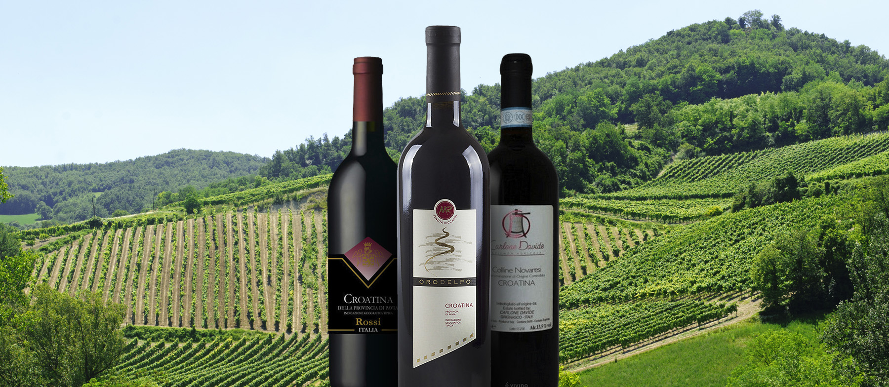 Lombard Red Wines: 12 Red Wine Types in Lombardy | TasteAtlas
