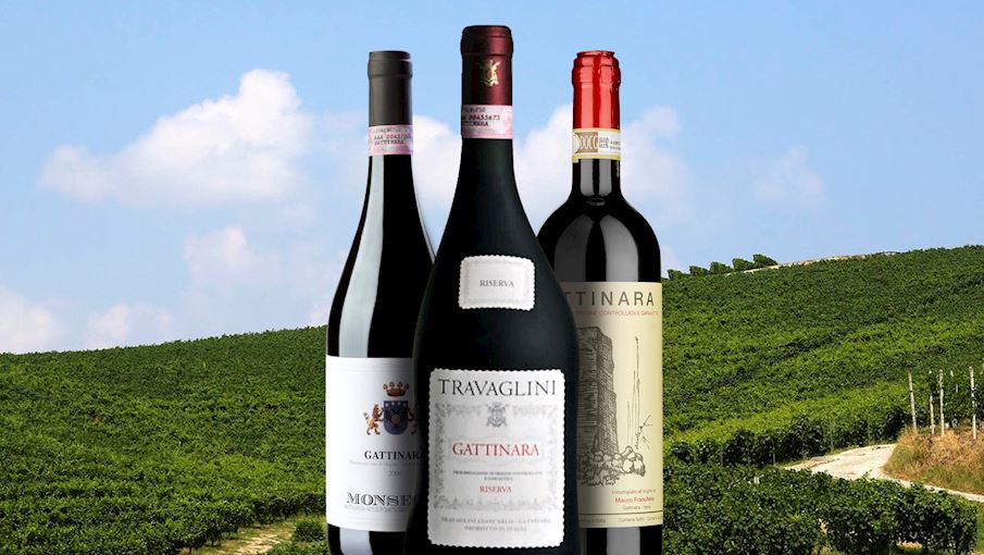 50-most-popular-italian-red-wines-tasteatlas