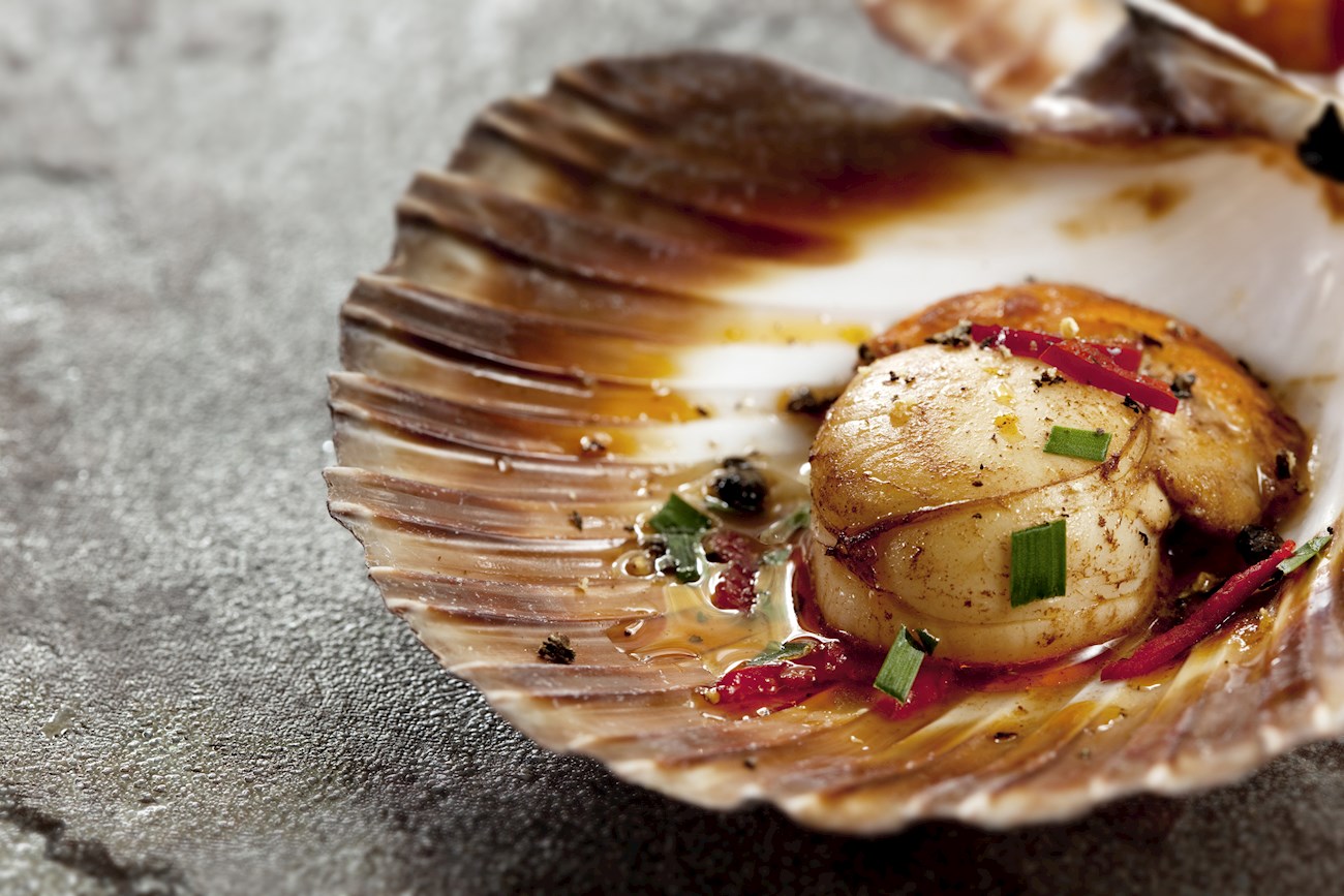 3 Best King Scallops in Europe - TasteAtlas