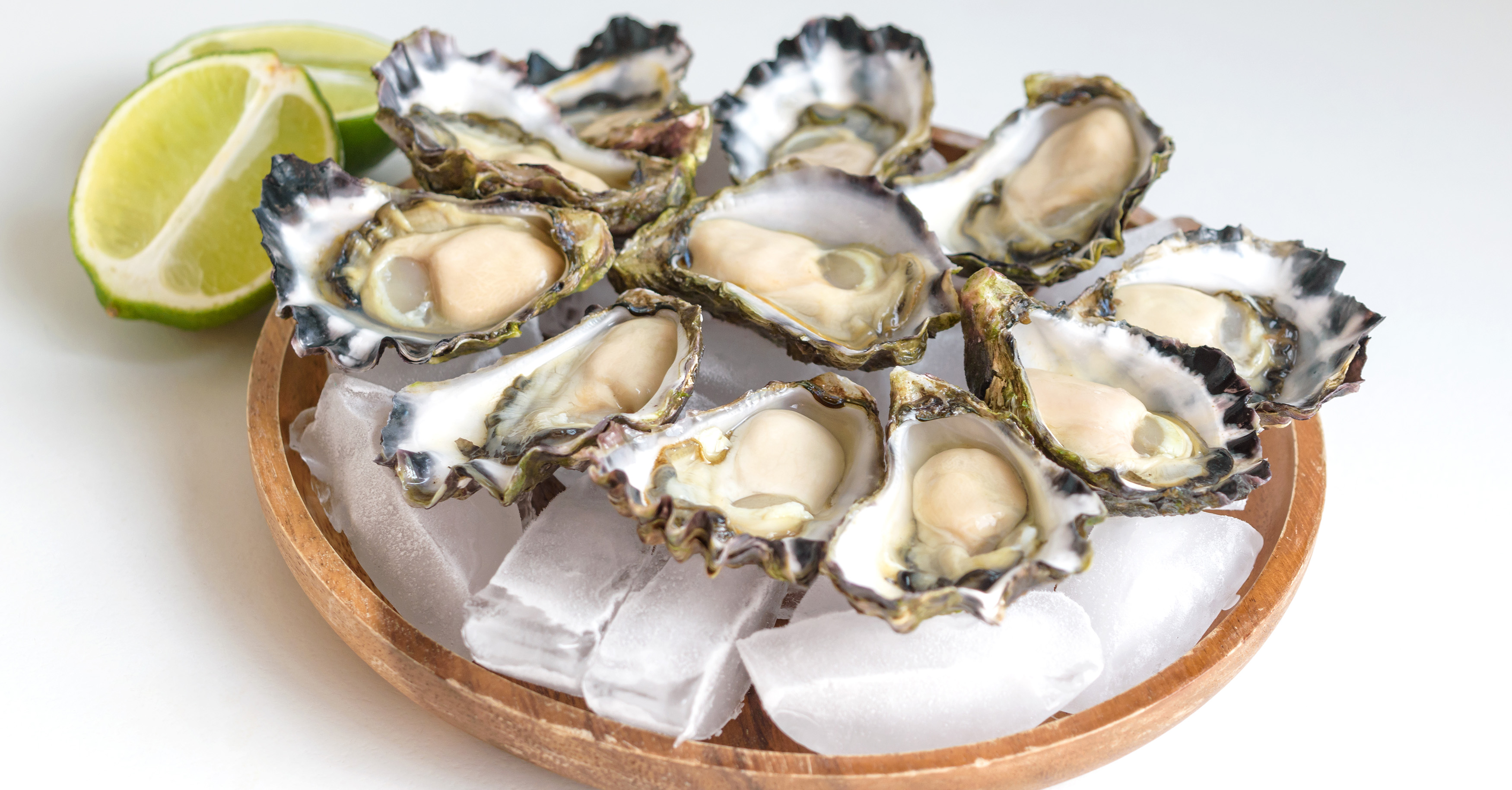 sydney-rock-oyster-local-rock-oysters-from-sydney-australia