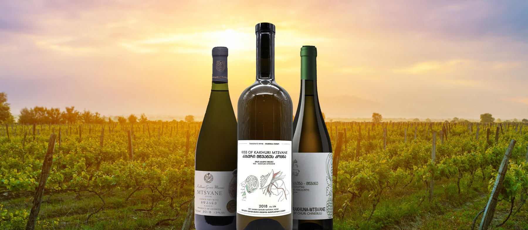 Mtsvane Kakhuri | Local Wine Variety From Kakheti, Georgia