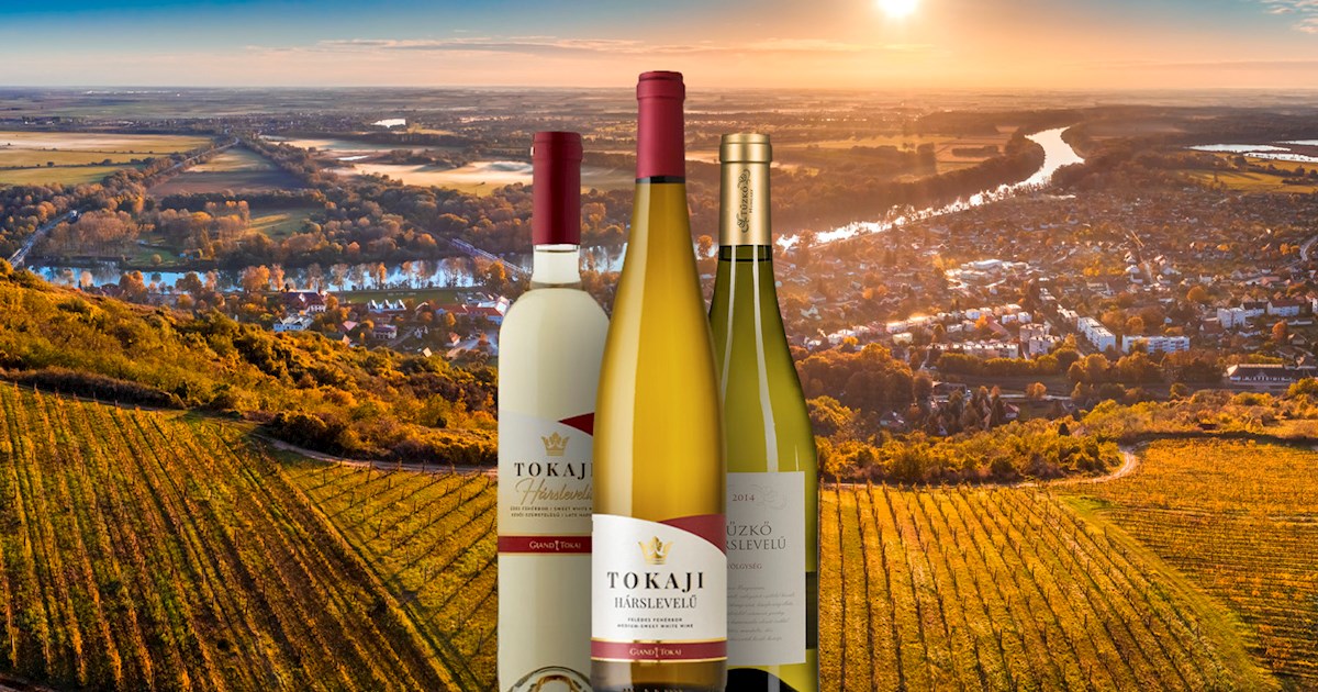 6 Best Wine Varieties in Hungary TasteAtlas