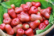 Water Apple Local Tropical Fruit From India