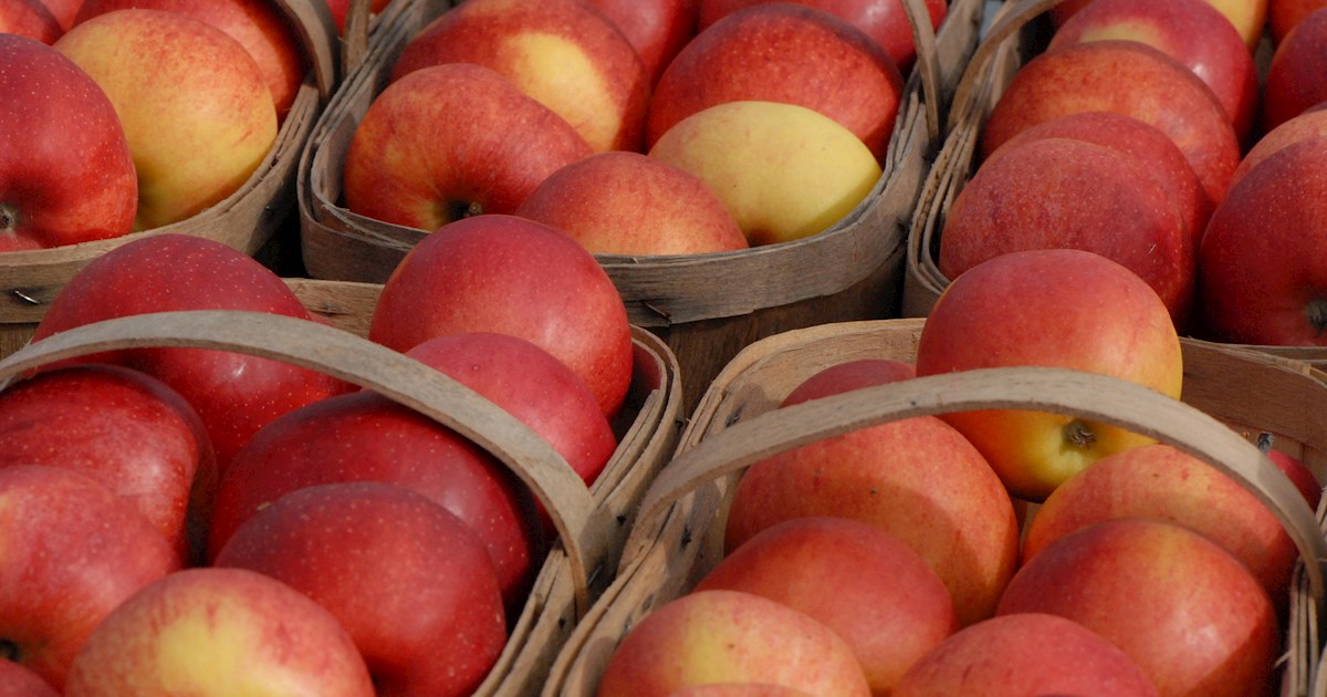 What Are the Sweetest Apples? (Ranked from Tart to Sweet)