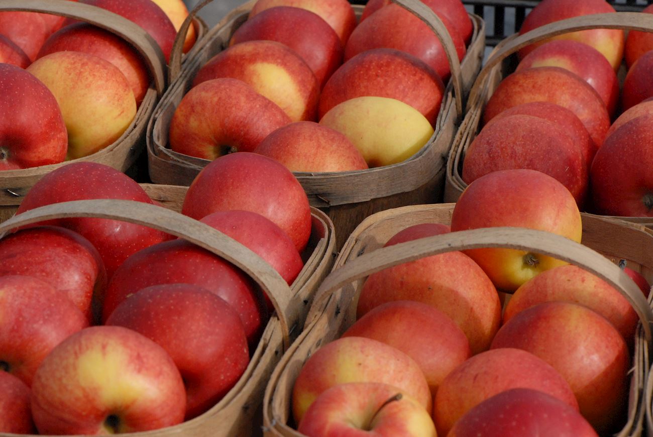 Can Fruit Be Brought Into Canada 3 Best Fruits (Types and Products) in Canada - TasteAtlas