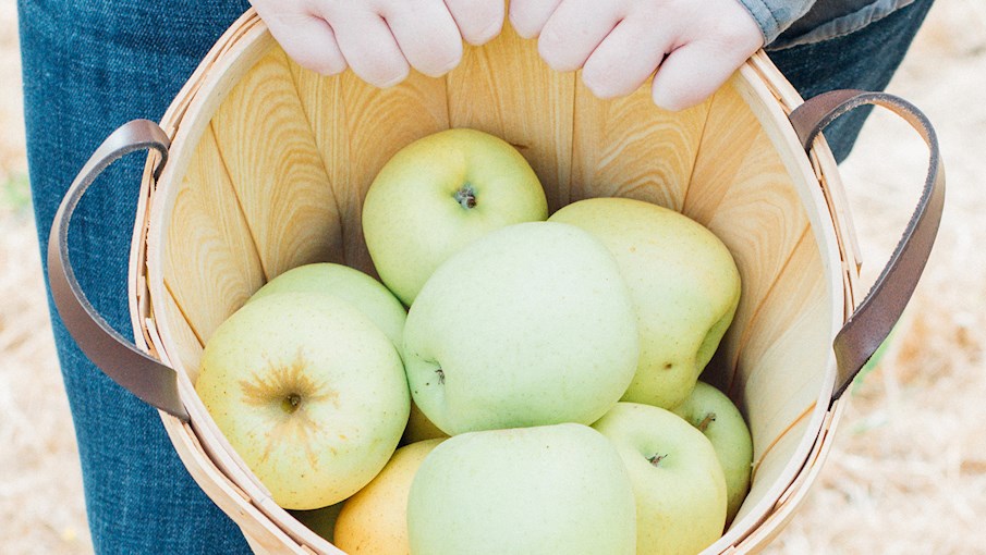 50 Most Popular Apples in the World - TasteAtlas