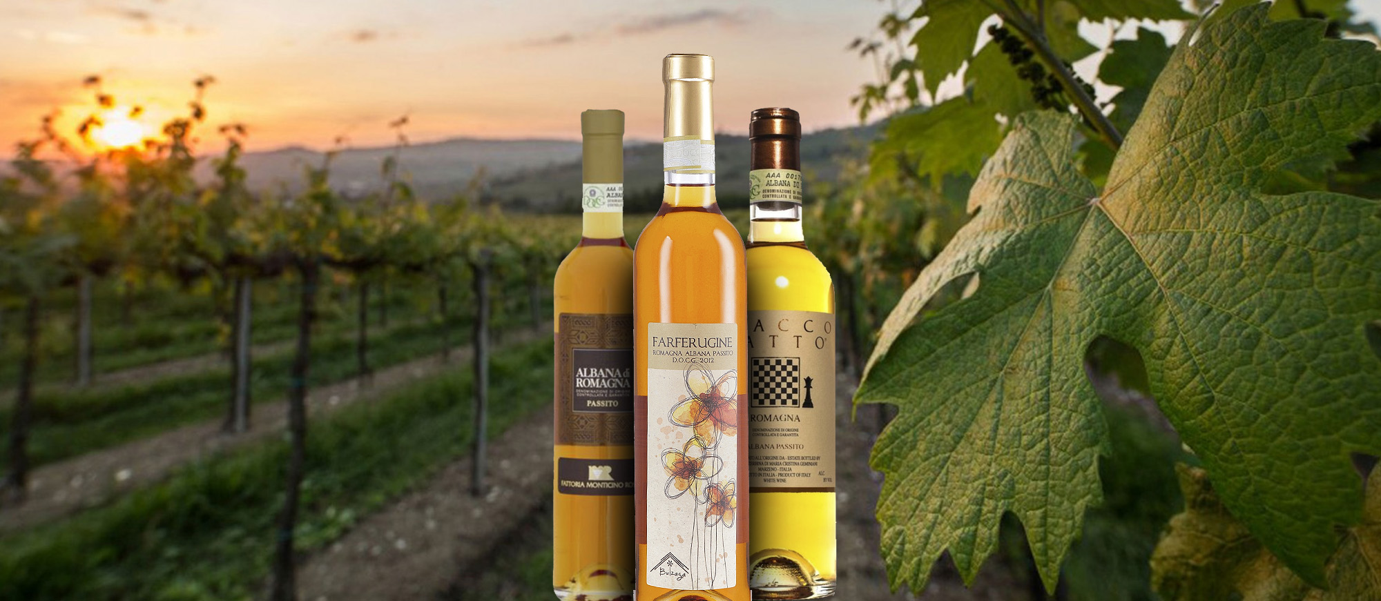 50 Most Popular Dessert Wines In The World - TasteAtlas