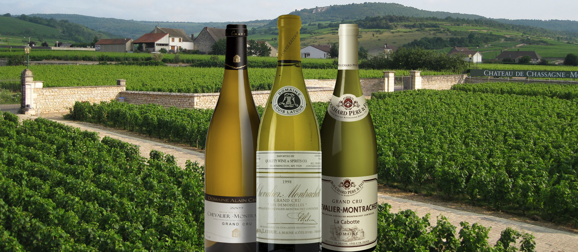 Chevalier-Montrachet | Local Wine Appellation From Côte-d'Or, France