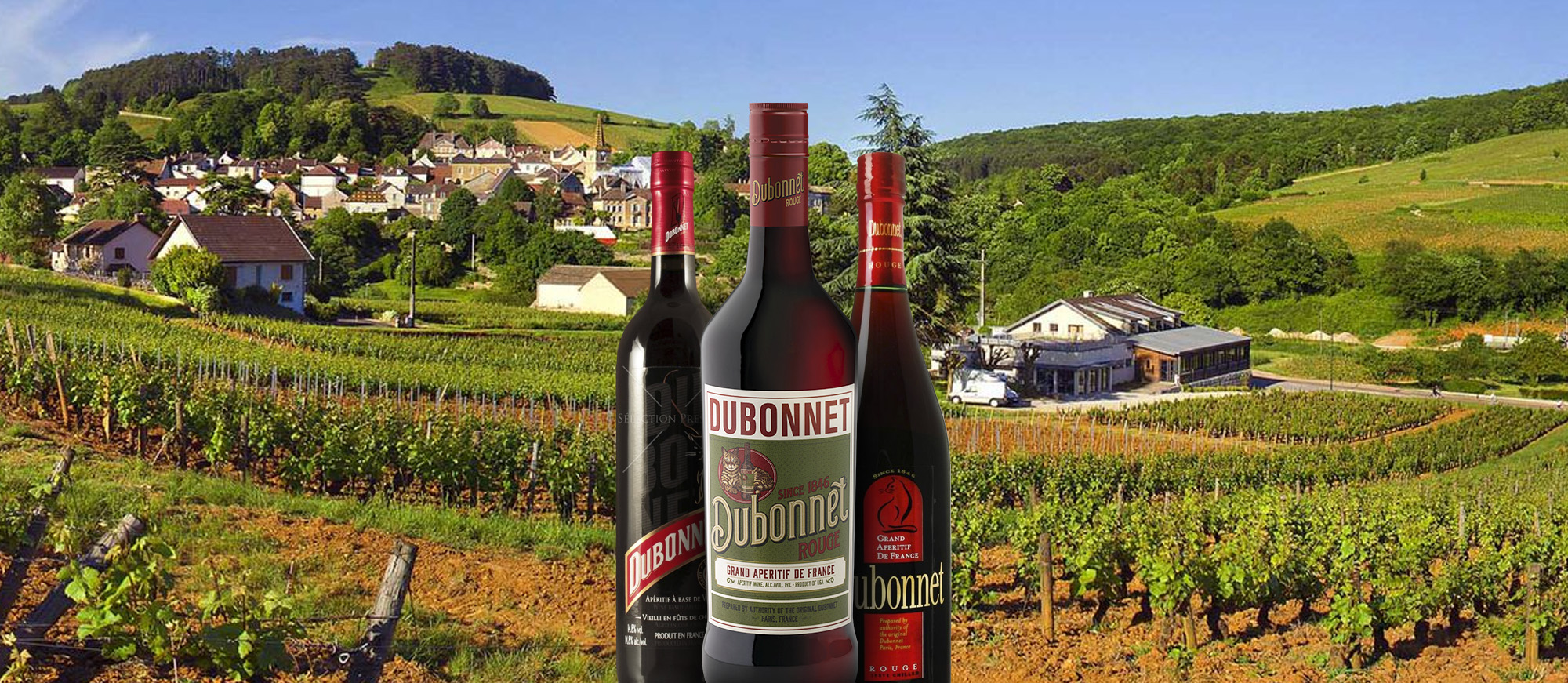 Dubonnet Local Fortified Wine From France