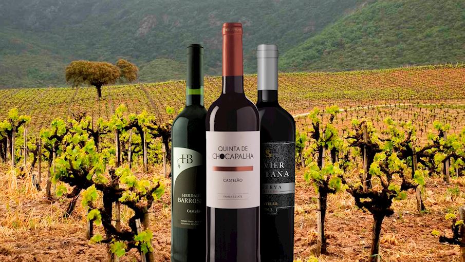 6 Most Popular Portuguese Red Wines TasteAtlas