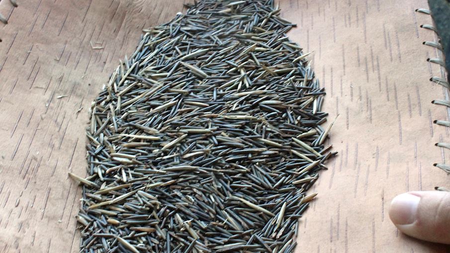 Most Popular Minnesotan Food TasteAtlas