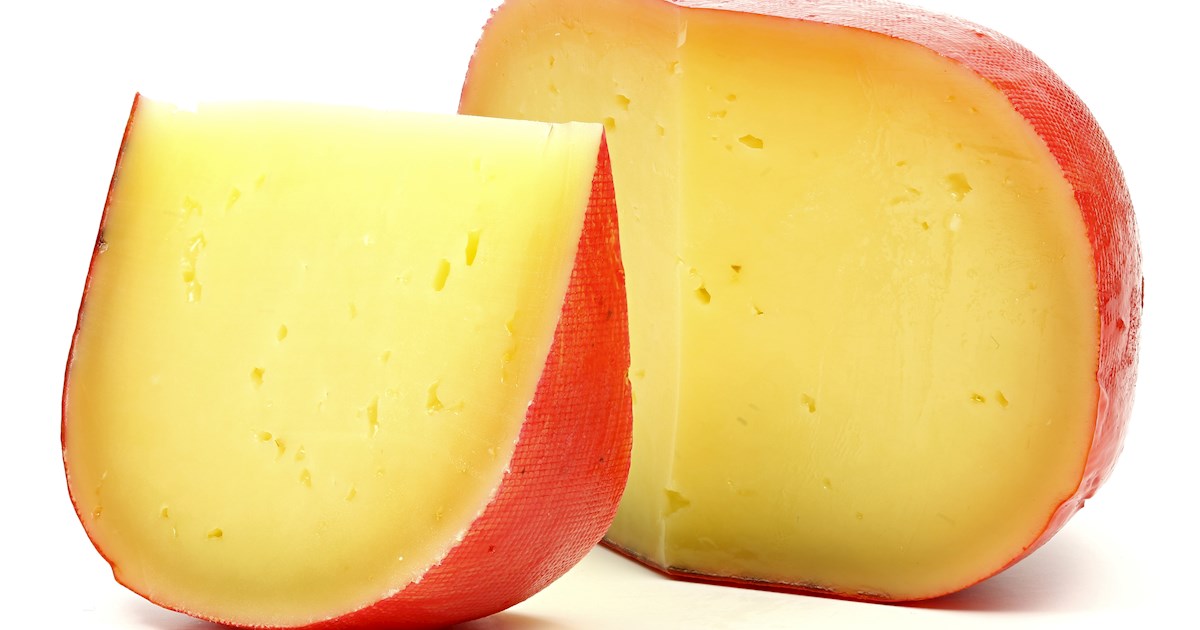 New Zealand Cheeses 6 Cheese Types in New Zealand TasteAtlas