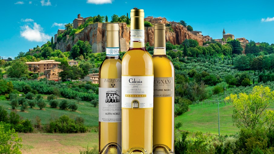 5 Most Popular Umbrian Wine Appellations TasteAtlas