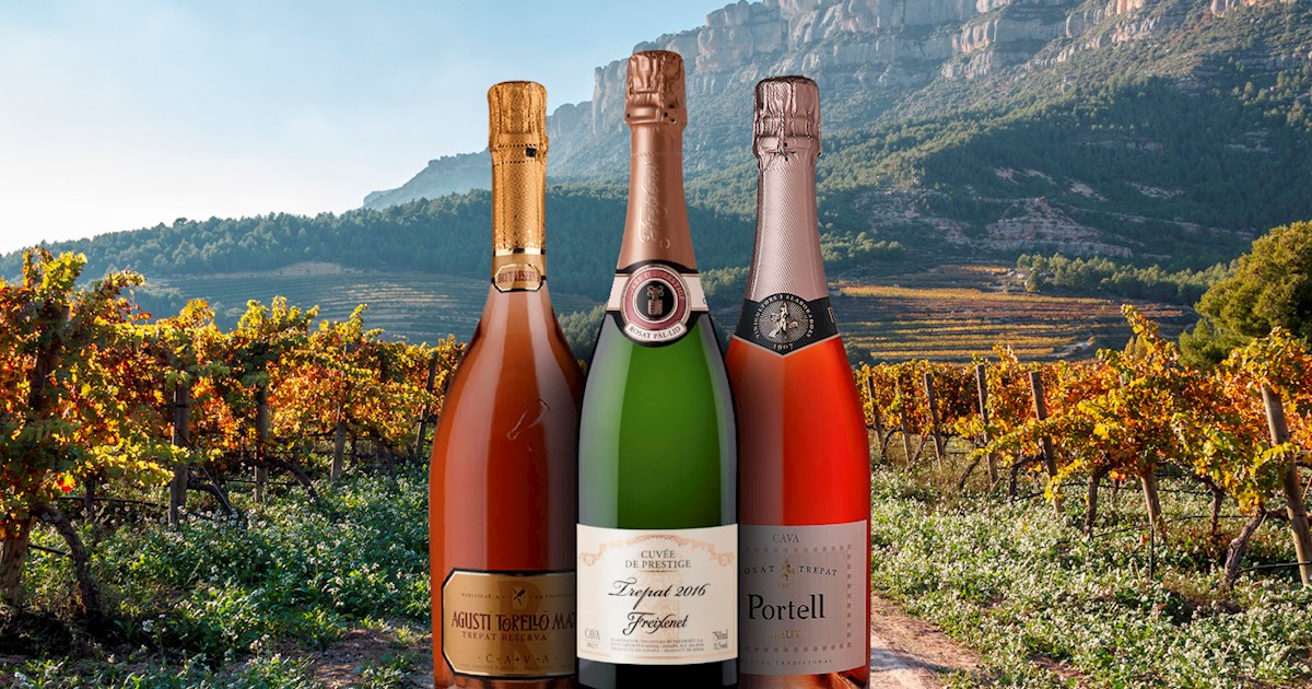 3 Best Sparkling Wines in Catalonia - TasteAtlas