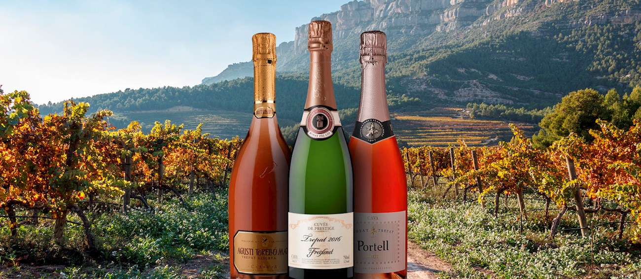 3 Best Sparkling Wines in Spain TasteAtlas