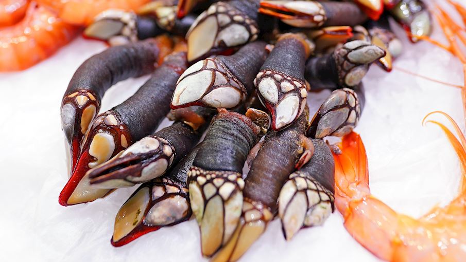3 Most Popular Spanish Shellfish TasteAtlas