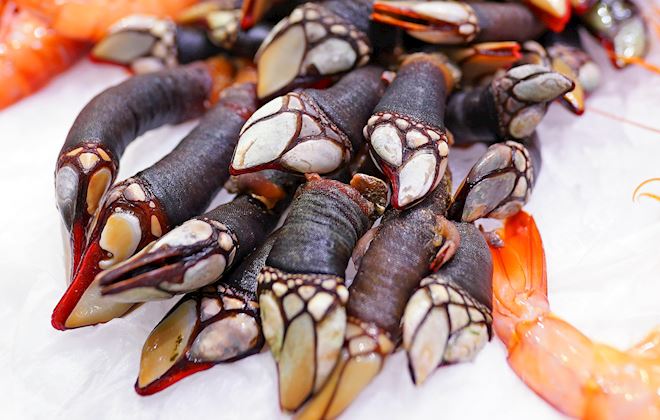 Shellfish of the World: 47 Shellfish Types | TasteAtlas