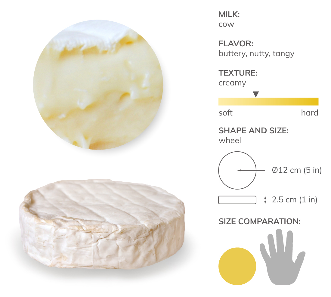 Coulommiers Local Cheese From Coulommiers, France TasteAtlas