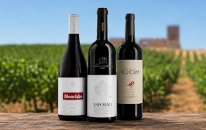 Alicante Bouschet