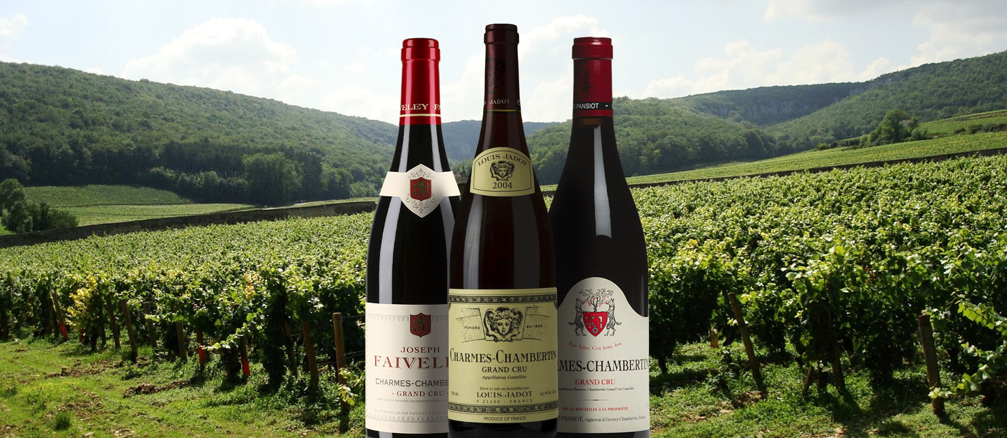 Charmes-Chambertin | Local Wine Appellation From Côte-d'Or, France