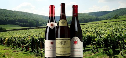 Charmes-Chambertin